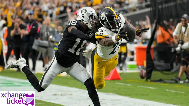 Pittsburgh Steelers Vs Minnesota Vikings Tickets