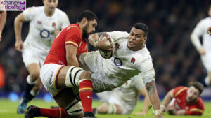 Autumn Internationals Tickets | Autumn Internationals 2025 Tickets