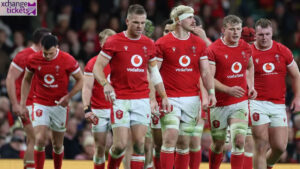 Autumn Internationals Tickets