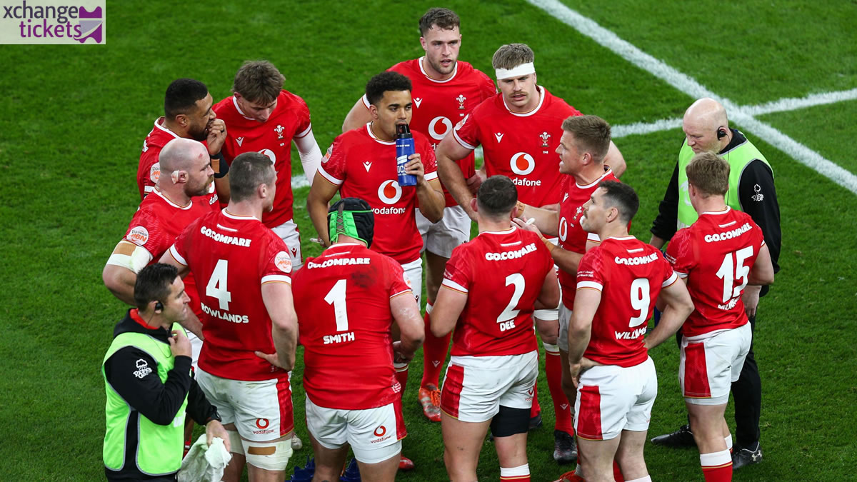 Autumn Internationals Tickets | Autumn Internationals 2025 Tickets