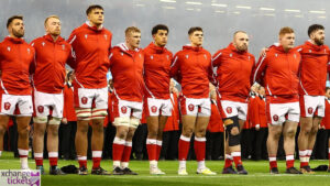 Autumn Internationals Tickets