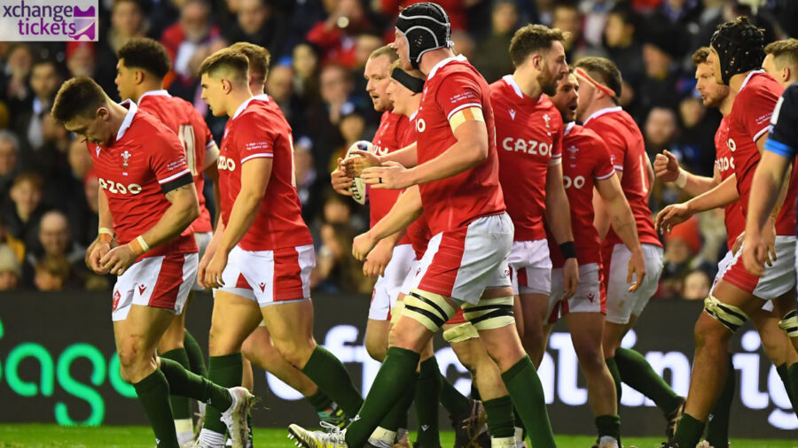 Autumn Internationals Tickets