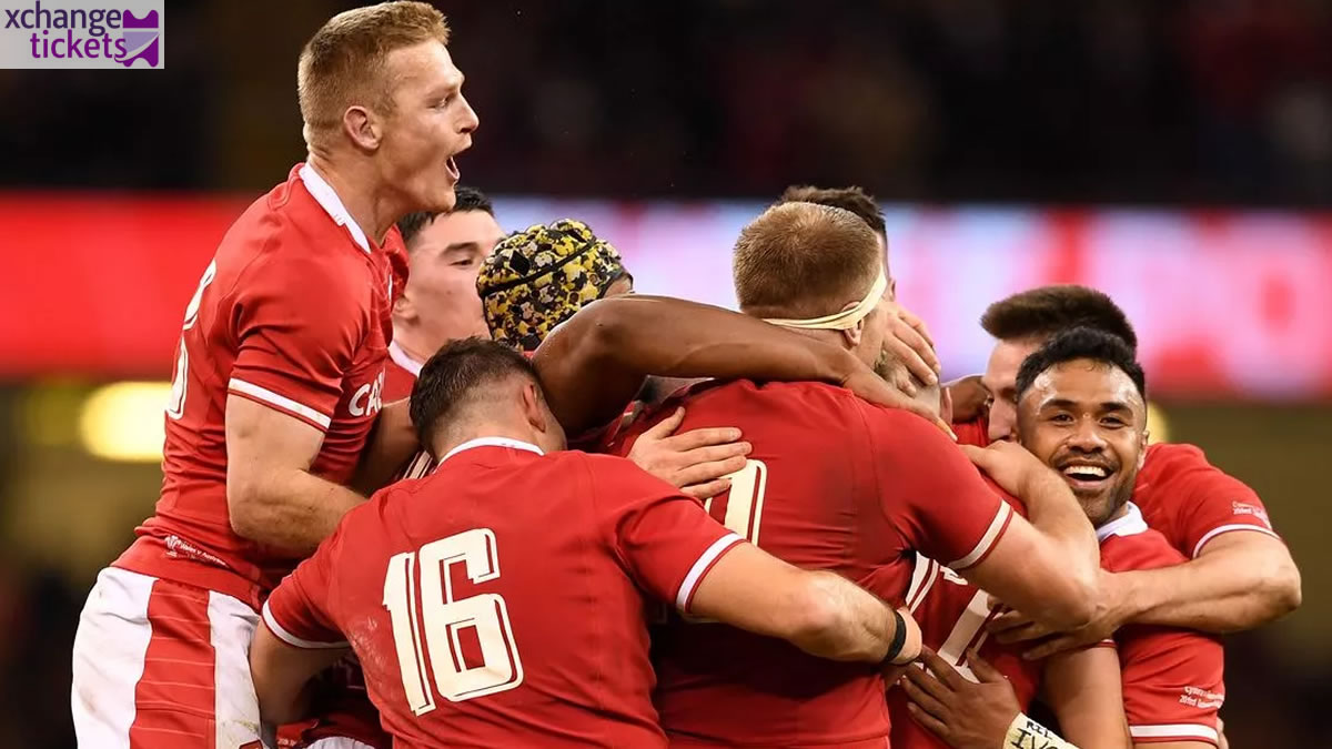 Autumn Internationals Tickets