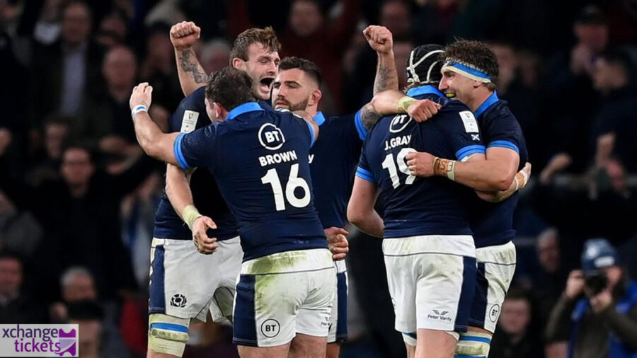 Autumn Internationals Tickets