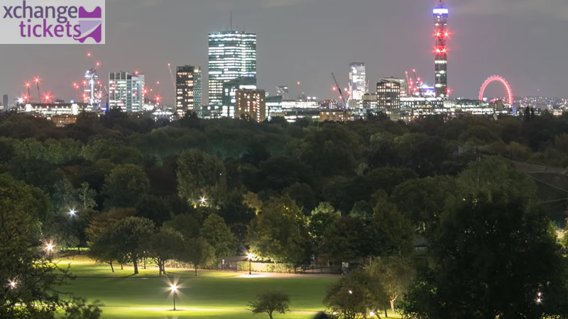 Primrose Hill | London New Year Eve Fireworks