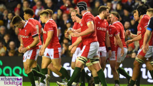 Autumn Internationals 2025 Tickets | Autumn Internationals Tickets | Sell Autumn Internationals Tickets