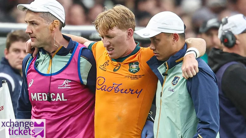 Autumn Internationals Tickets | Autumn Internationals 2025 Tickets