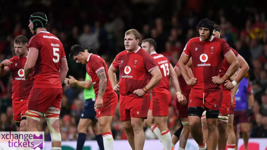 Autumn Internationals 2025 Tickets | Autumn Internationals Tickets | Sell Autumn Internationals Tickets