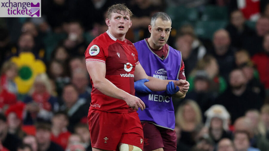 Autumn Internationals 2025 Tickets | Autumn Internationals Tickets | Sell Autumn Internationals Tickets