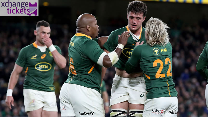 Autumn Internationals 2025 Tickets