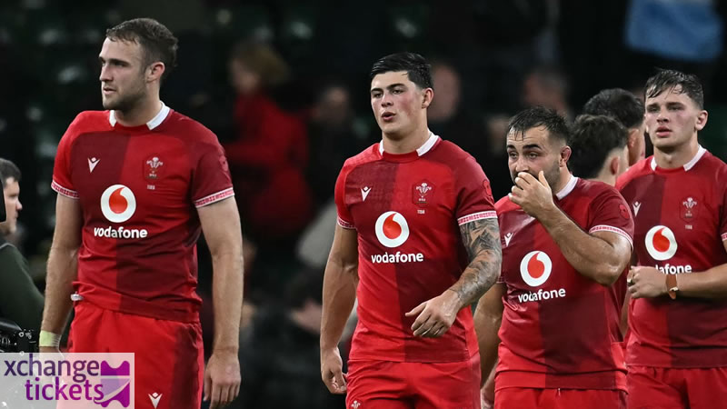 Autumn Internationals 2025 Tickets