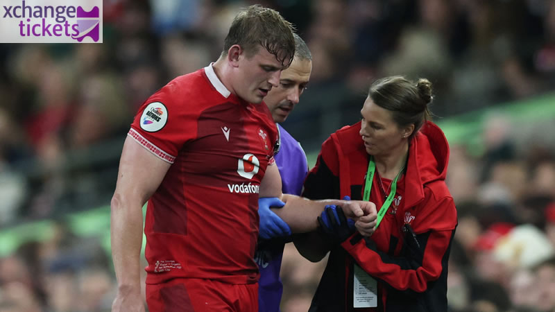 Autumn Internationals 2025 Tickets