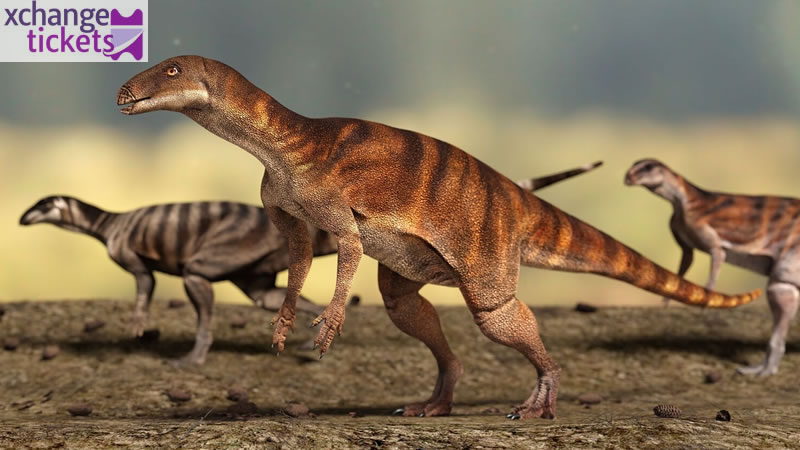 Buy Olympic Tickets | Sell Winter Olympic Tickets