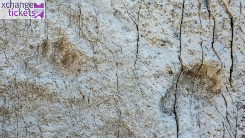 Milano Cortina 2026 Tickets | Buy Winter Olympic Opening Ceremony Tickets