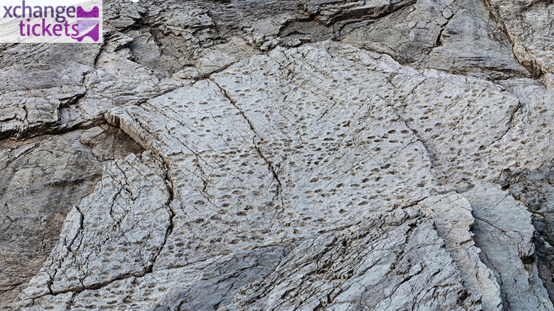 Buy Winter Olympic Tickets | Purchase Winter Olympic 2026 Tickets