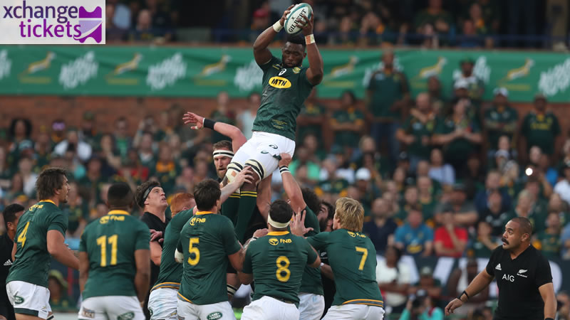 Rugby World Cup Tickets | Rugby World Cup 2027 Tickets