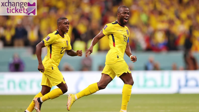 Sell Ivory Coast vs Ecuador Tickets | Sell World Cup Tickets | Sell Soccer World Cup Tickets | Soccer World Cup Tickets | FIFA World Cup Tickets