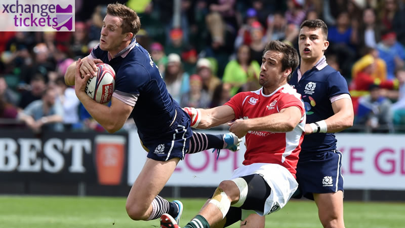 Rugby World Cup Final Tickets | Rugby World Cup Semi Final Tickets | Ireland Vs Portugal Tickets