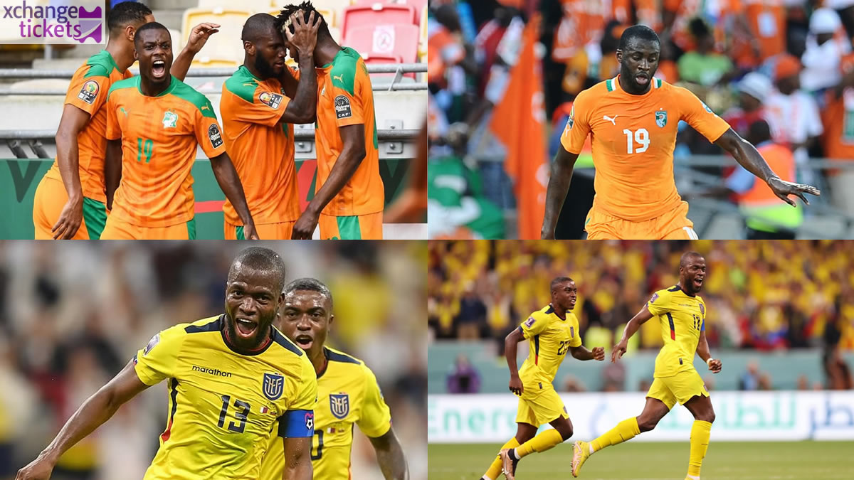 Ivory Coast vs Ecuador Tickets | Sell World Cup Tickets | Sell Soccer World Cup Tickets | Soccer World Cup Tickets | FIFA World Cup Tickets