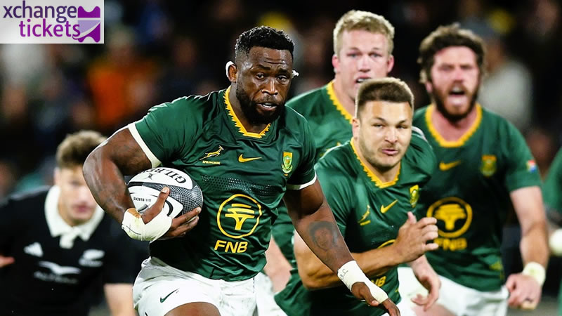 Springboks Begin Early Planning