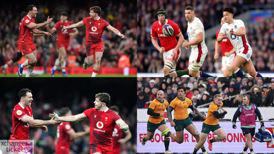Rugby World Cup Tickets | Rugby World Cup 2027 Tickets | Rugby World Cup Final Tickets | Rugby World Cup Semi Final Tickets