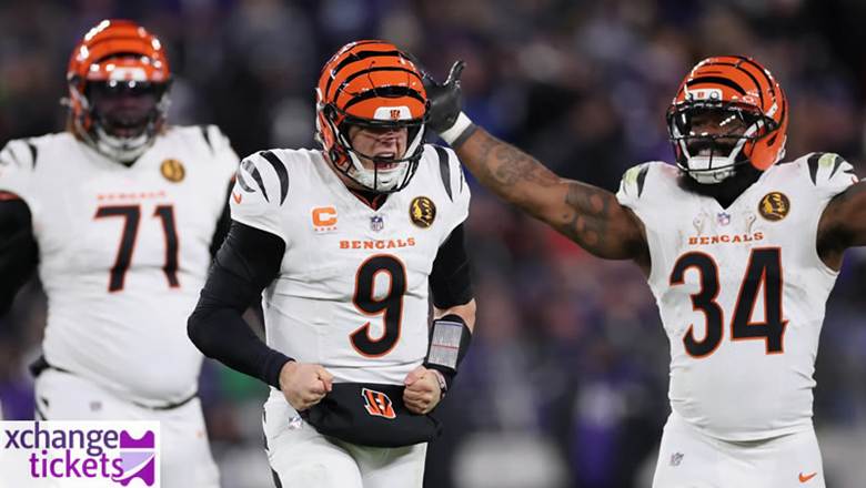 Bengals vs Falcons Tickets | NFL Madrid Tickets