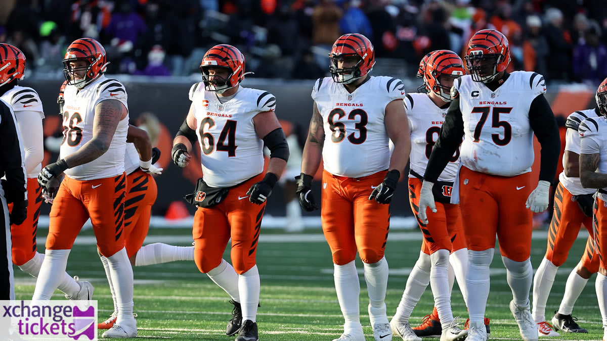 Cincinnati Bengals Vs Atlanta Falcons Tickets | NFL Madrid Tickets