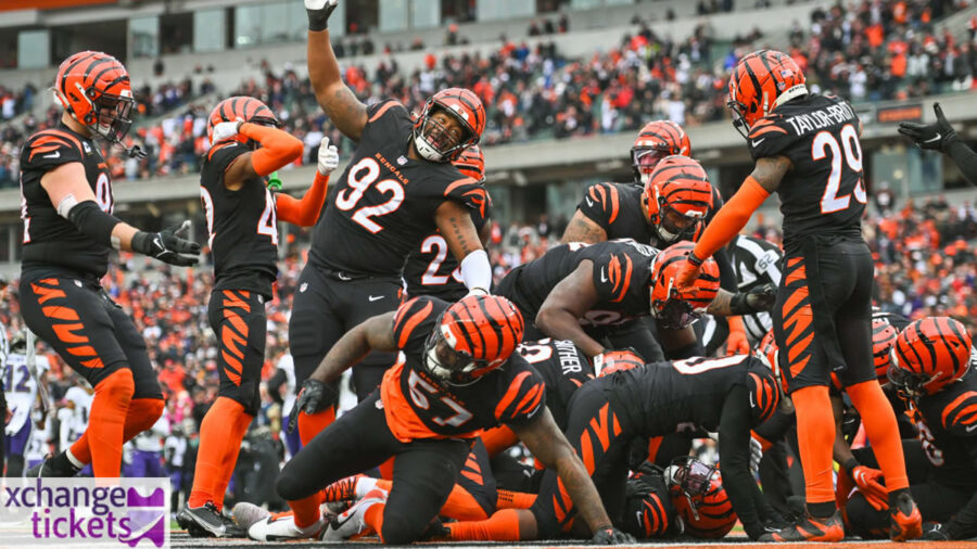 Cincinnati Bengals Vs Atlanta Falcons Tickets | NFL Madrid Tickets