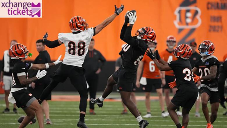 NFL International Tickets | Sell NFL Tickets
