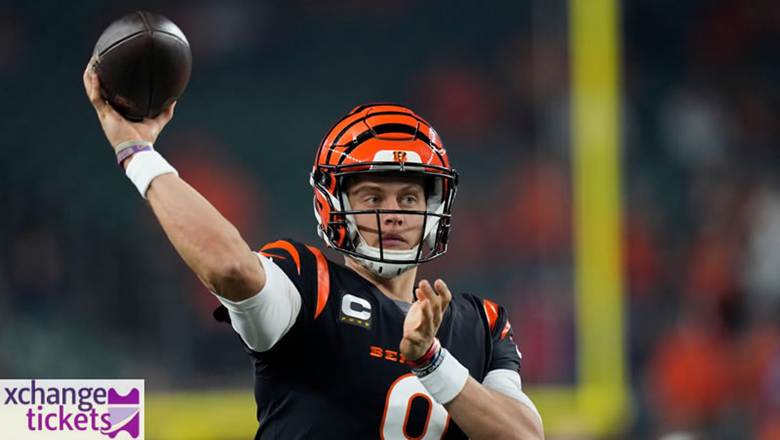 Cincinnati Bengals Vs Atlanta Falcons Tickets