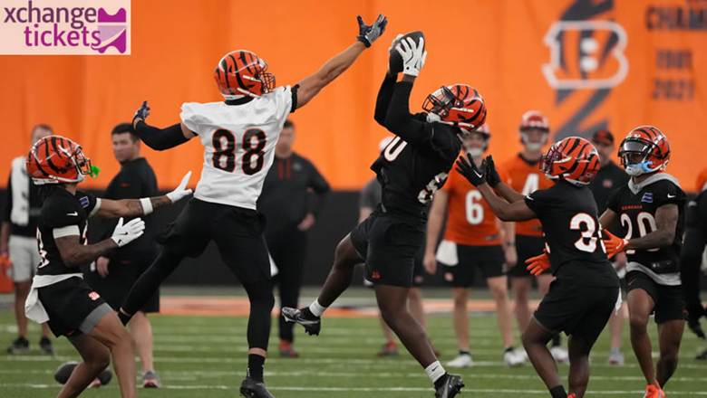 Cincinnati Bengals Tickets | NFL Madrid Tickets