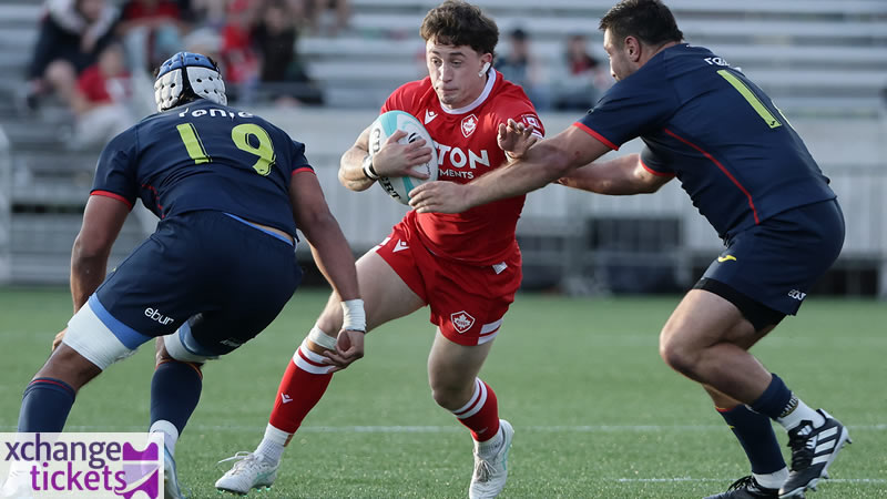 Rugby World Cup Final Tickets | Rugby World Cup Semi Final Tickets | Argentina Vs Spain Tickets,

