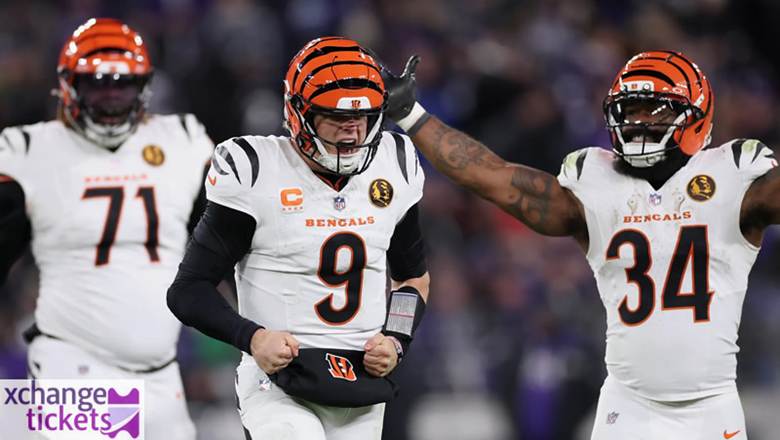 NFL Tickets | NFL 2026 Tickets