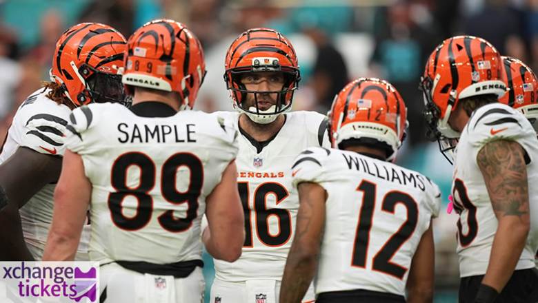 Bengals vs Falcons Tickets | NFL Madrid Tickets