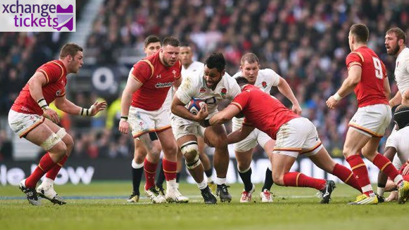 England Vs Tonga Tickets | RWC 2027 Tickets