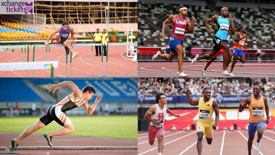 Olympic Tickets | Summer Games 2028 Tickets | Summer Olympic Tickets | LA 28 Tickets | Los Angeles Olympic 2028 Tickets