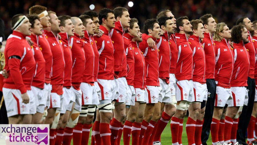 Rugby World Cup Tickets | Sell Rugby World Cup Tickets